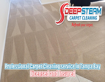 Best Deep And Steam Carpet Cleaning Of Tampa Bay