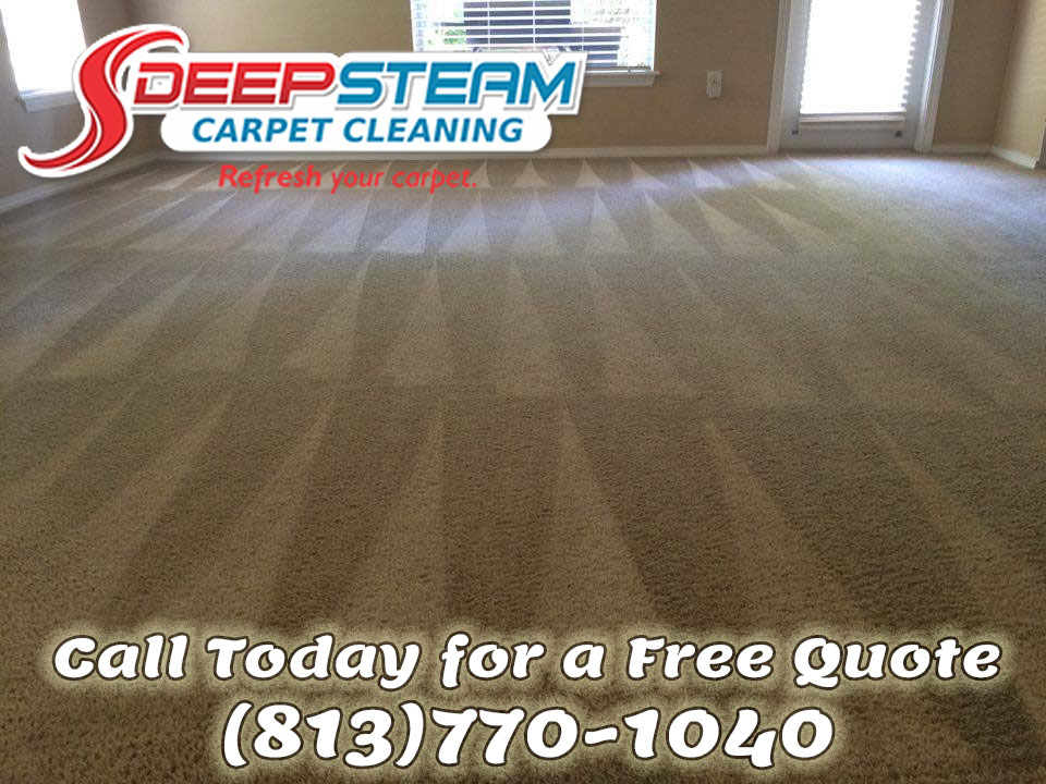 Deep Steam Carpet Cleaning In Tampa Bay