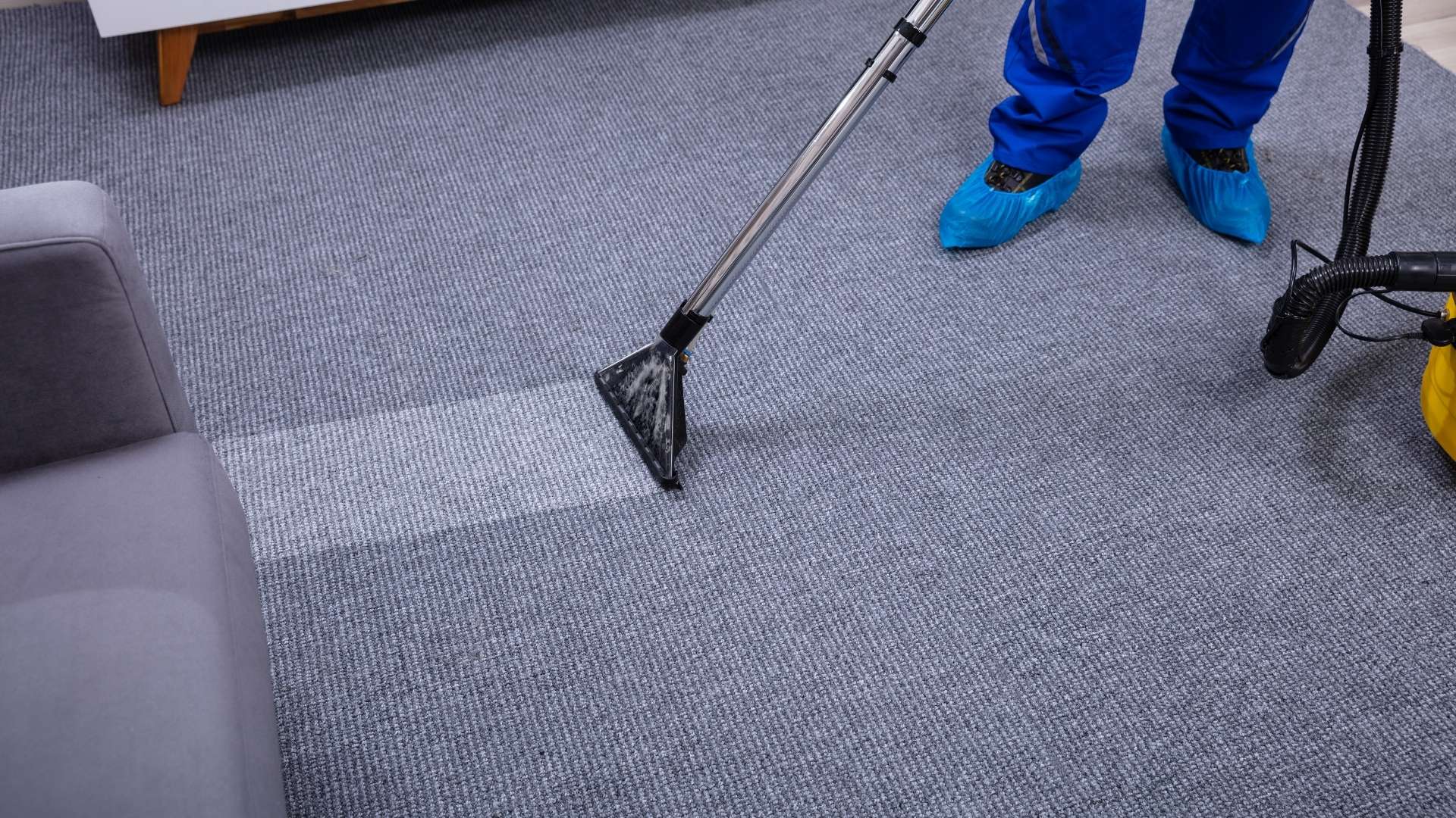 Carpet Cleaning